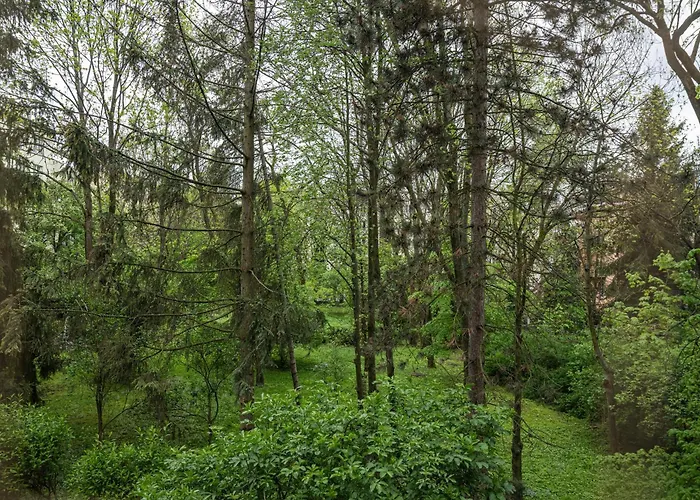 Parkowy Ul. Raclawicka